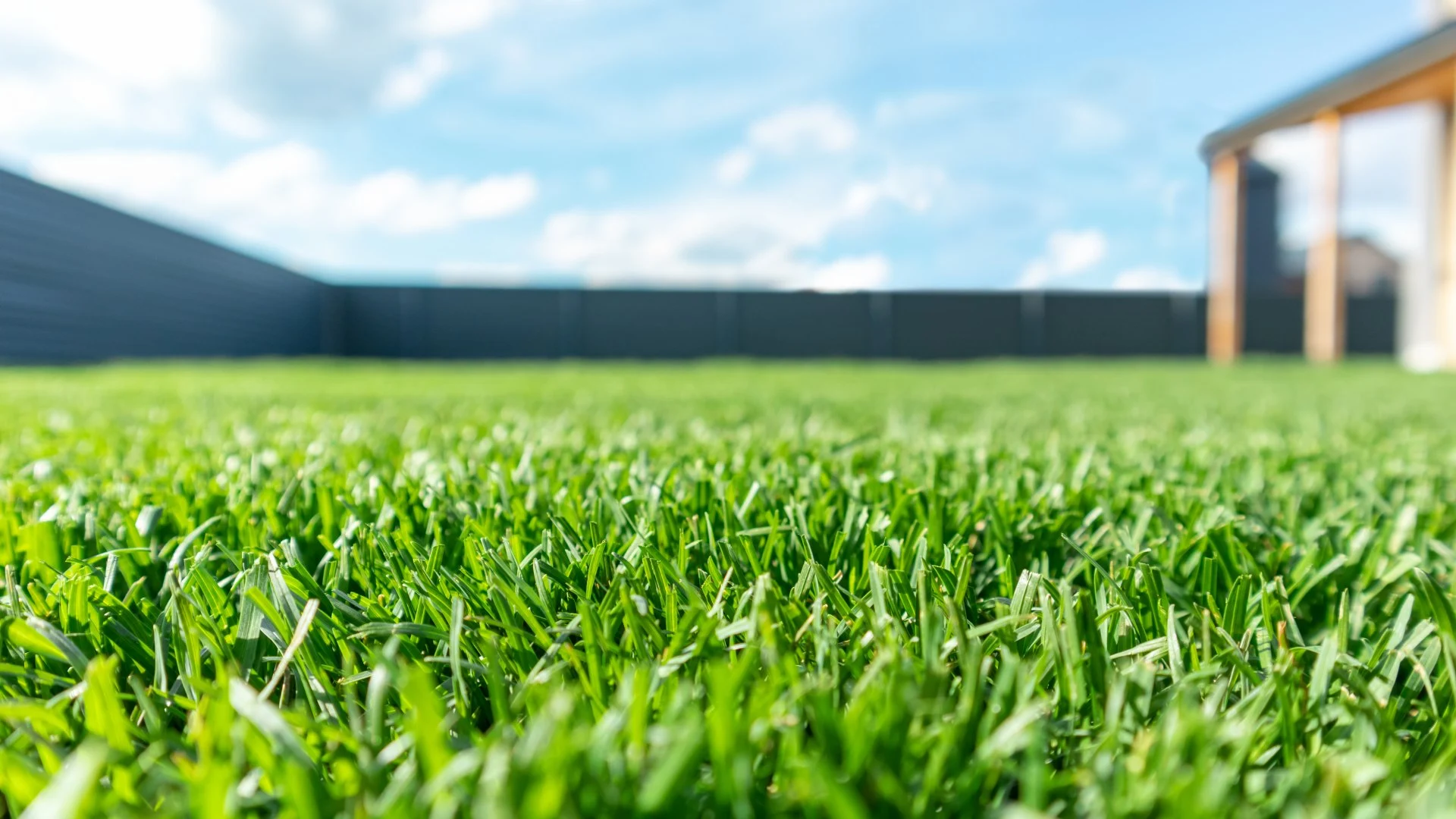 Green grass at height view in Quakertown, PA.