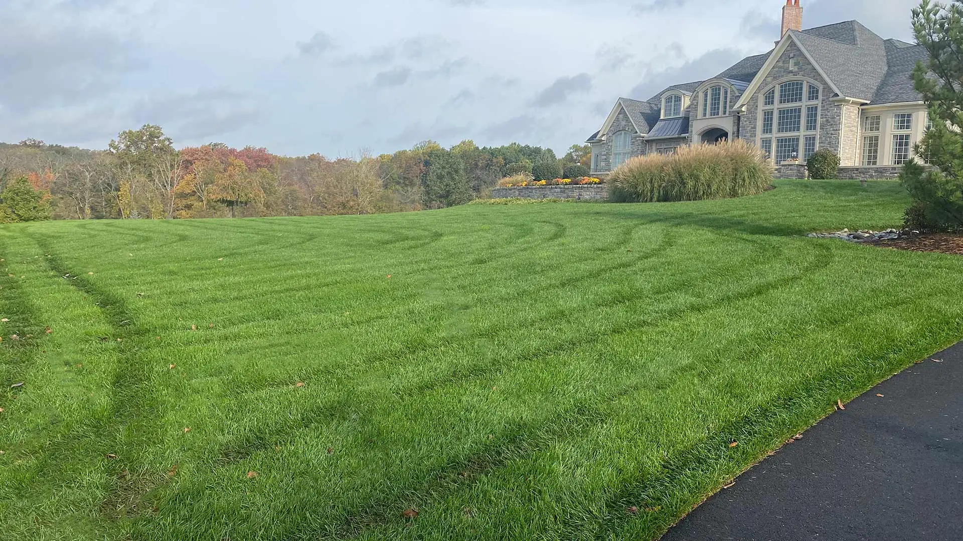 Large front yard with green lawn grass outside Horsham, Pennsylvania.