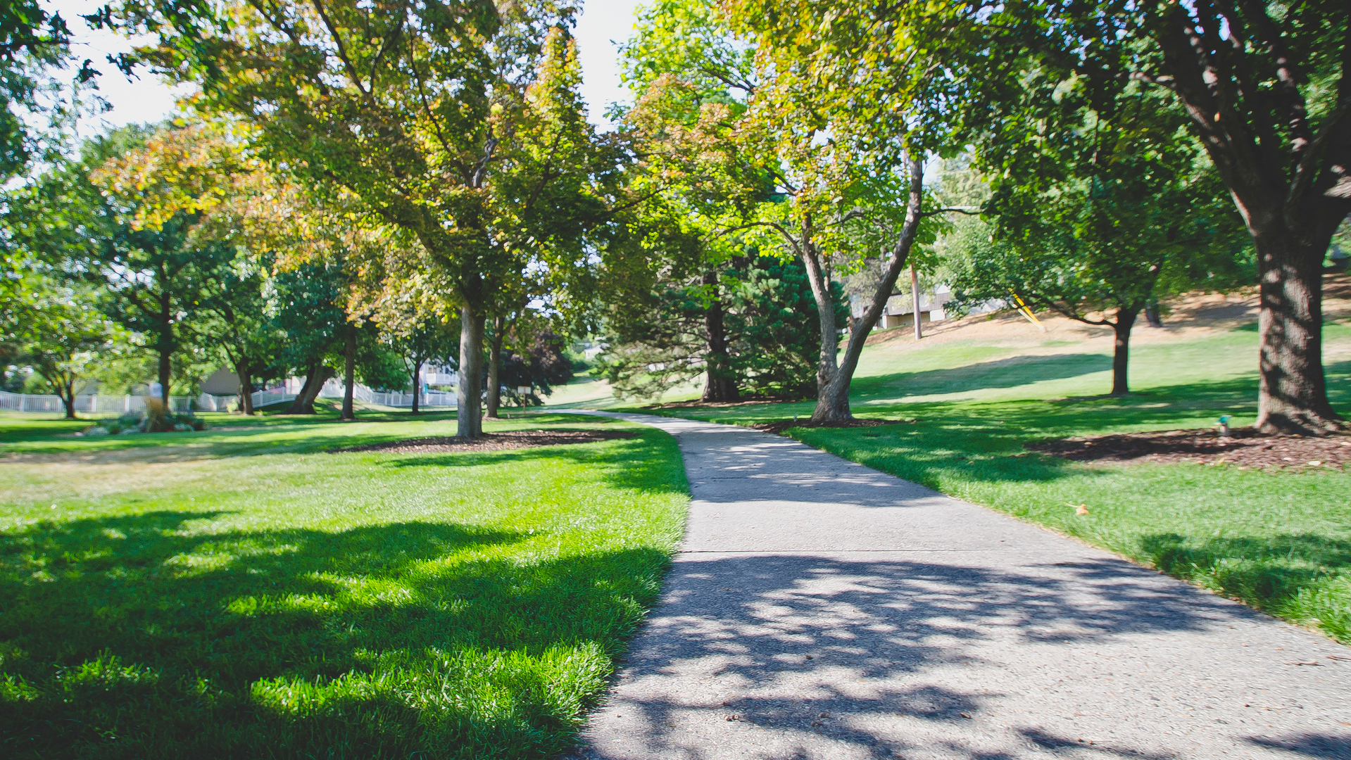 Healthy grass and trees in a park in Bally, PA.