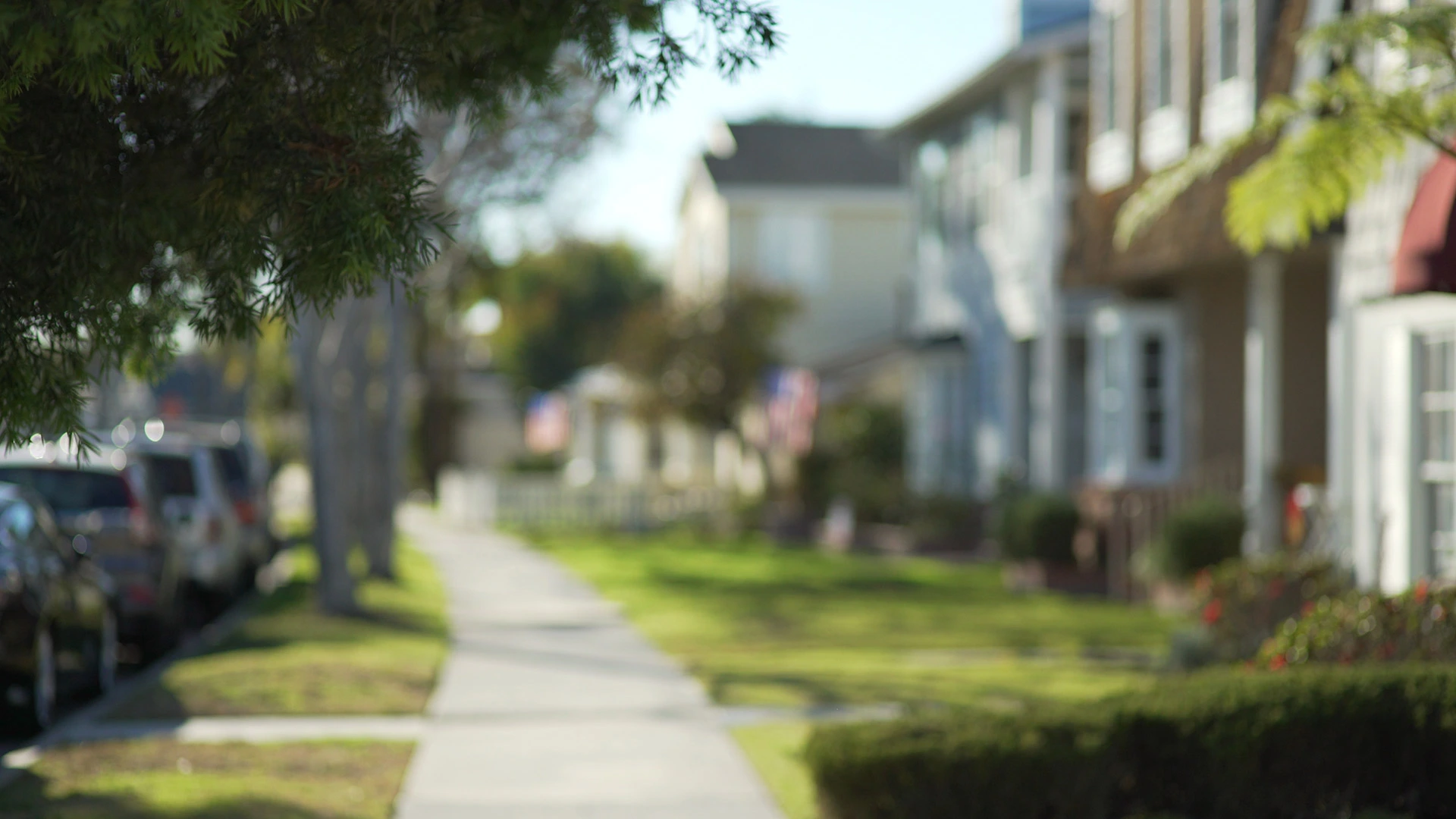 Sidewalk view from a neighborhood in Chalfont, PA.