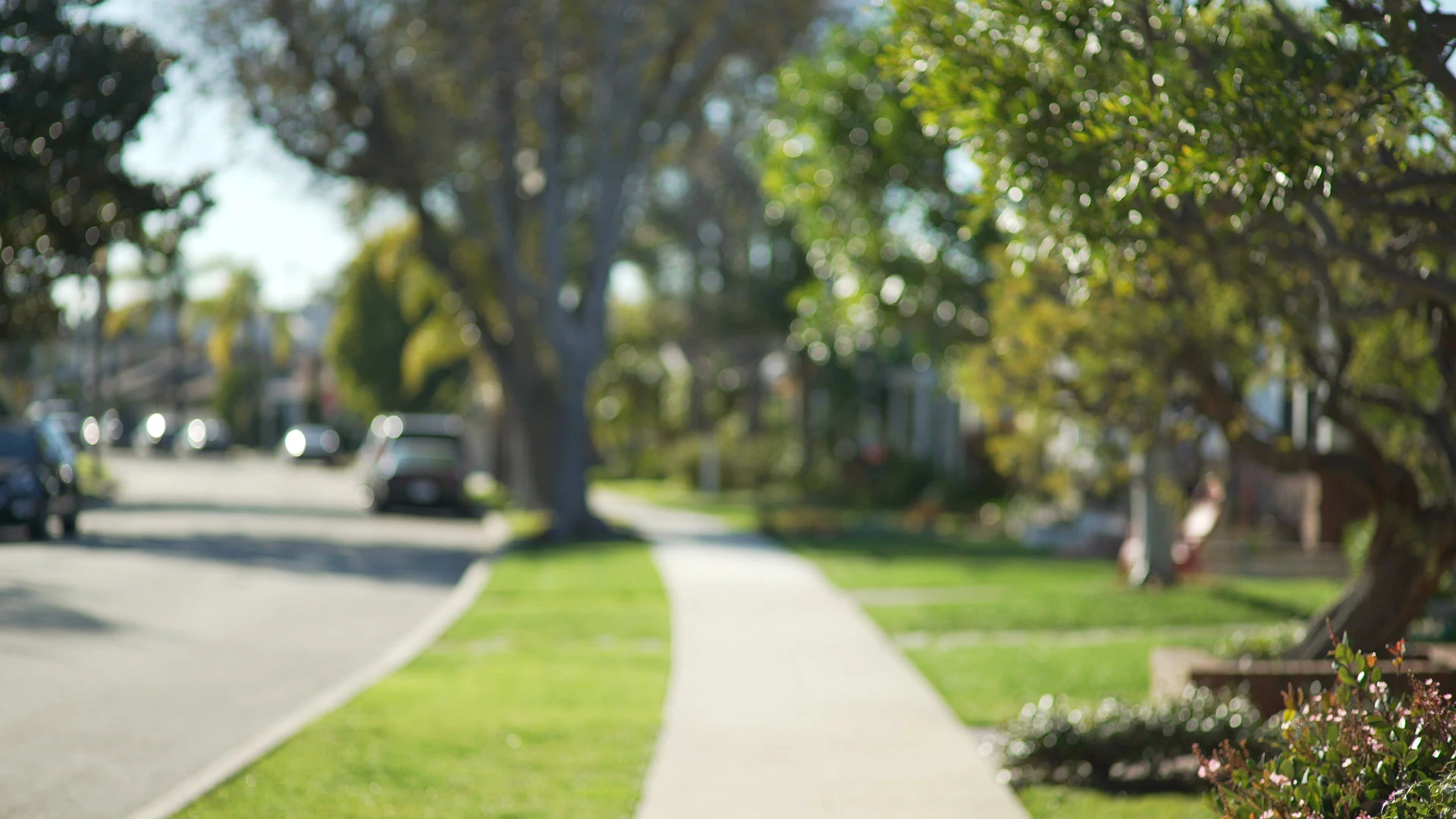 View of a sidewalk in a neighborhood in Sellersville, PA.