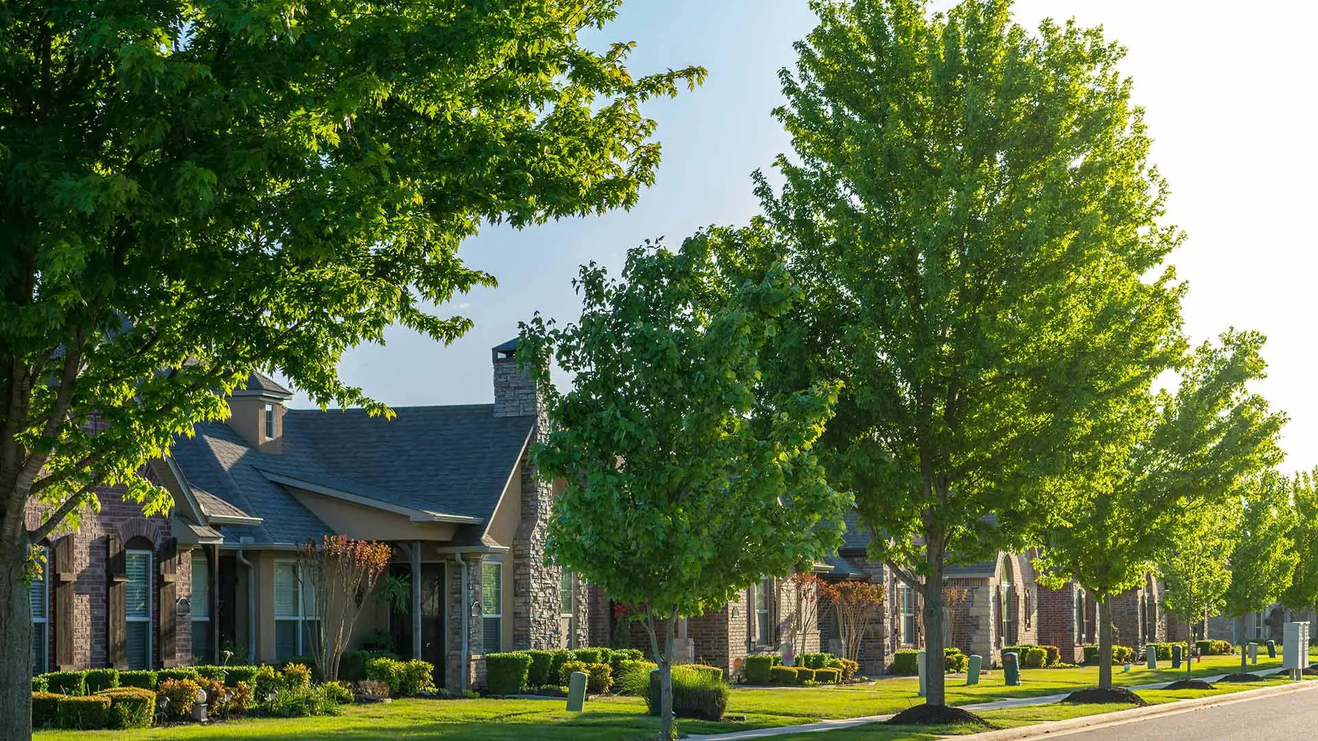 Street view of a neighborhood in North Wales, PA.