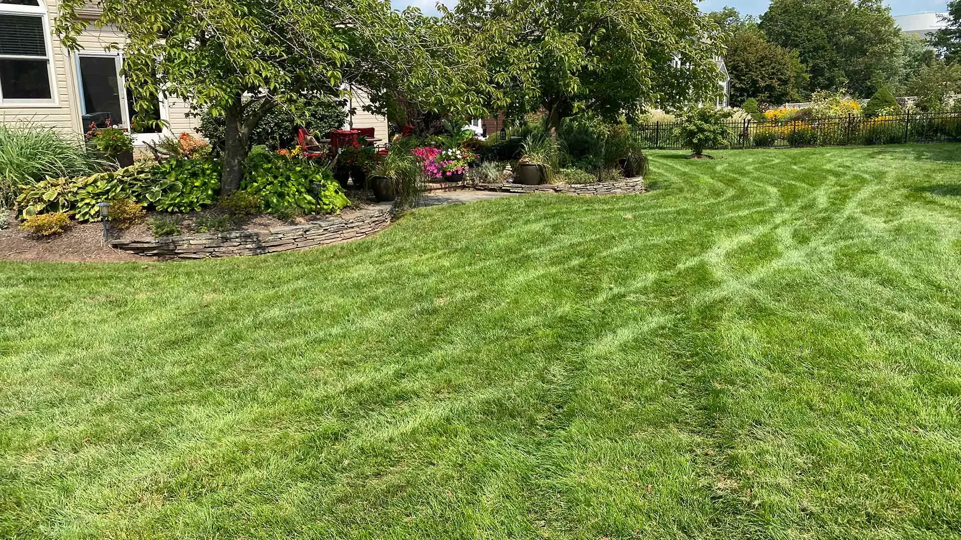 Yard with healthy lawn grass and beautiful landscaping near King of Prussia, PA.