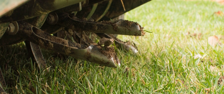 Aerator machine aerating a lawn in Souderton, PA.