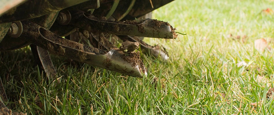 Aerator servicing a lawn in Warrington, PA.