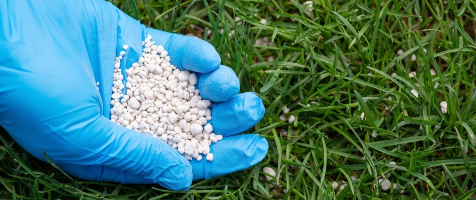 Our lawn care professional holding a handful of fertilizer on a property in East Greenville, PA. 