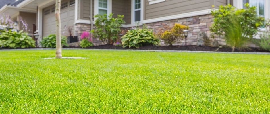 Healthy green grass beside landscape in Quakertown, PA.