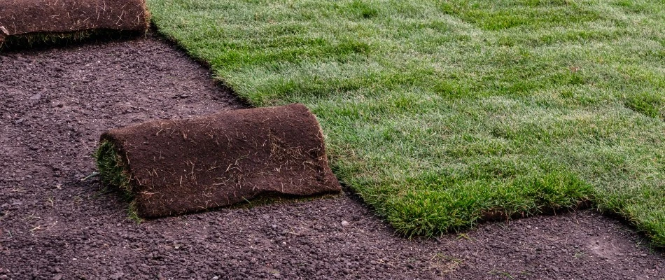 New sod rolls ready for installation in Doylestown, PA.