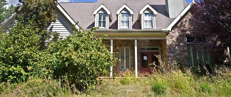 Overgrown bushes and grass in a yard near Lansdale, PA.