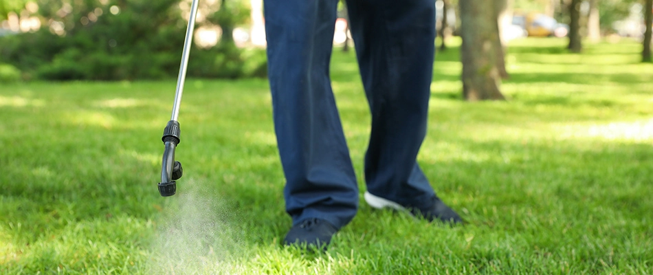 Technician applying pre-emergent weed control to a lawn in Souderton, PA.