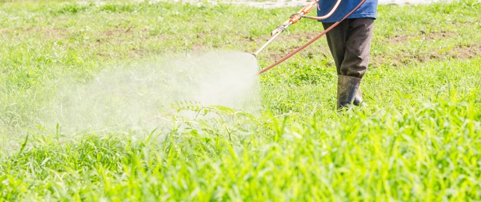 Professional applying nutsedge control treatment in Souderton, PA.