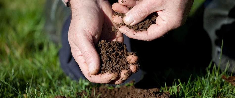 Professional assessing soil in lawn in North Wales, PA.