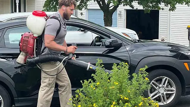 Mosquito control fogger applied around landscaping at a home in Berks County, Pennsylvania.